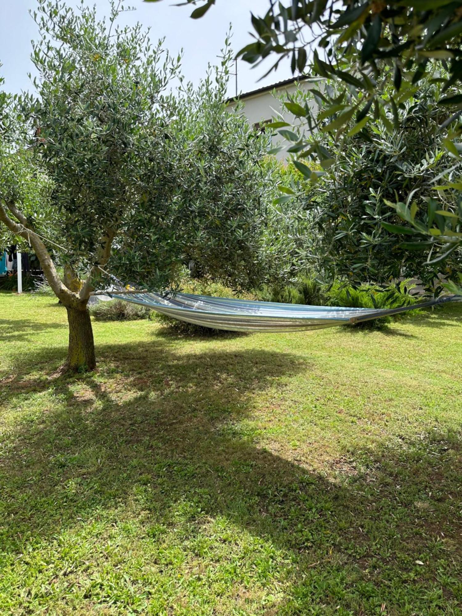 Apartment Karolina - Green Oasis Pula Luaran gambar